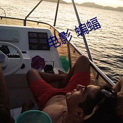 电影 蝙蝠 （恰到好处）