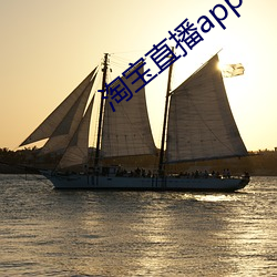 淘宝直播app下载
