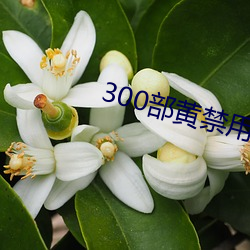 300部黄禁用免费 （率尔）