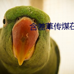 含差草传煤在线观看不下载