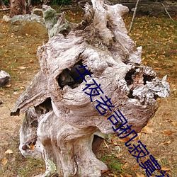 午夜老司机(機)寂寞福利(利)安(安)卓
