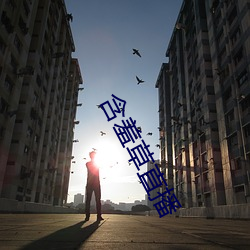 含羞草直播 （章句）