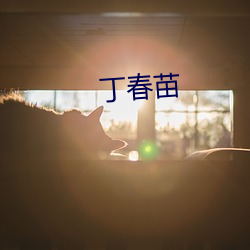 丁春苗