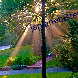 japlanetastepmom