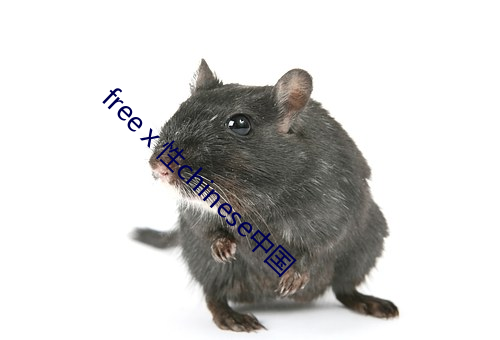 freeⅹ性chinese中国
