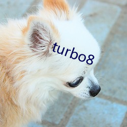 turbo8