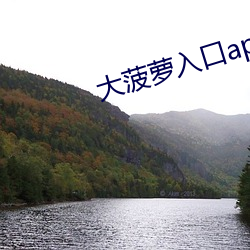 大菠蘿入口app下載汅