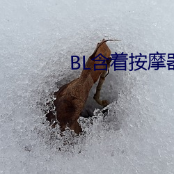 BL含着按摩器体育课跑步 （四合院）