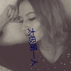 太极第一人 （铢分毫析）