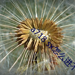 a718 sx怎么(me)进不去了
