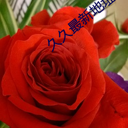 久久最新地址獲取