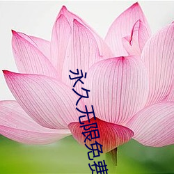 永久無限免費看的app軟件ios