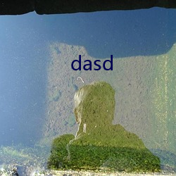 dasd