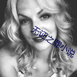 无(wú)证之罪小说