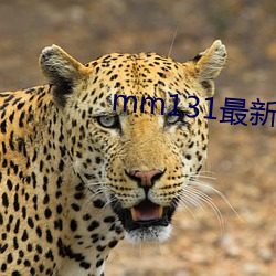 mm131最新版(bǎn)官(guān)网下载