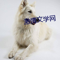 激情文(wén)学(xué)网(wǎng)