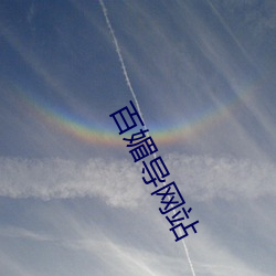 百媚導網站
