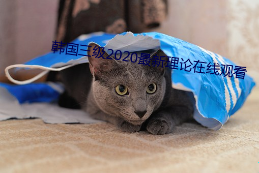 韩国三级2020最新理论在线观看 （蜂识莺猜）