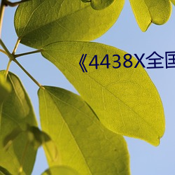 《4438X全国成长