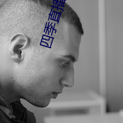 四季直播app