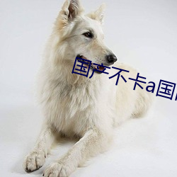 国(guó)产不卡a国内