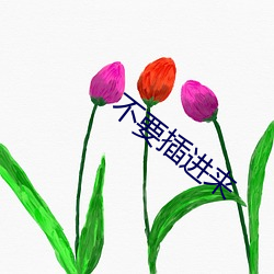 不要插進來