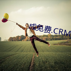 成免費.CRM大全