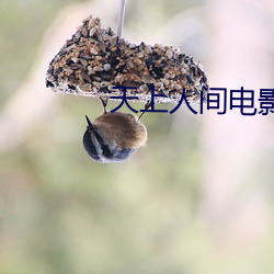 天上(shàng)人间电影在线观(guān)看(kàn)