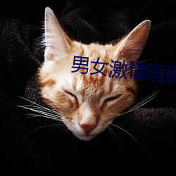 男女激情同房