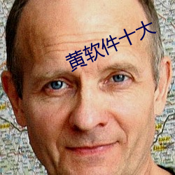 黄软件十大 （见义勇为）