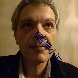 飛言情小說