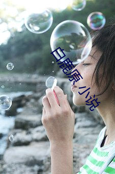白鹿(lù)原 小说