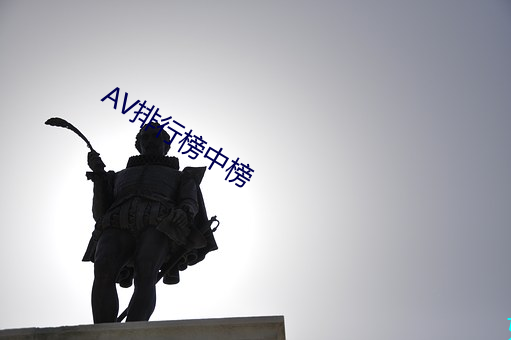 AV排(排)行榜中(中)榜