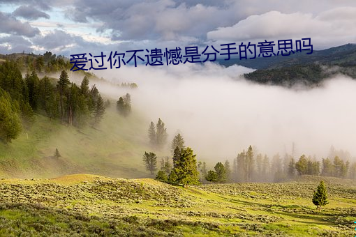 爱过你不遗憾是分(fēn)手(shǒu)的(de)意思吗