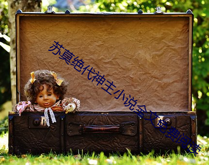 苏莫绝代神主小说全文免费阅读