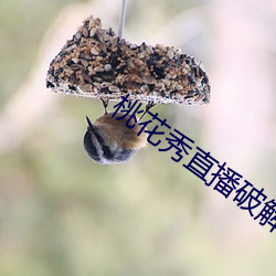 金年会 | 诚信至上金字招牌