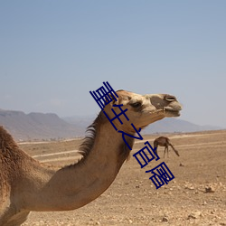 重生之官(官)屠(屠)