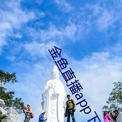 金魚直播app下載