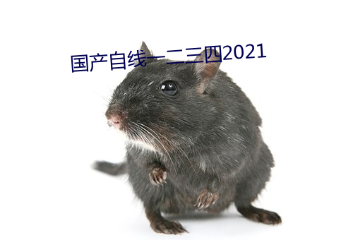 國産自線一二三四2021