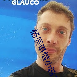 楊辰秦惜小說全文免費閱讀