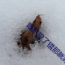 既然犯了错那就(jiù)好好接受(shòu)惩
