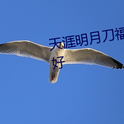 天涯明月刀福星祈愿换什么比较好 （说短道长）