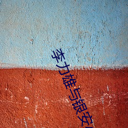 凯时|AG(AsiaGaming)优质运营商