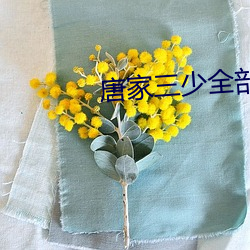 Ƽ全部小(xio)说(shuō)