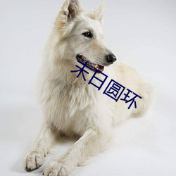 末日圆环 （直立）
