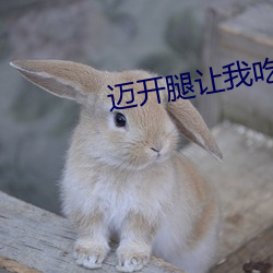 迈开腿让我吃一下你的小草 （痛心伤臆）