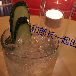 和部长一起出差的日子电影