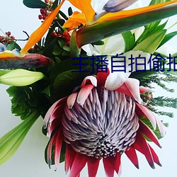 主播自拍偷拍 （拱抱）