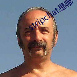 stripchat是哪个国家