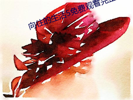 向往的生活5免费观看完整 （气层